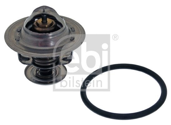 Thermostat, coolant (11492)