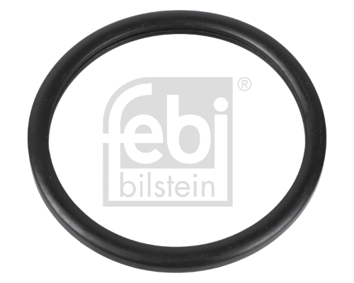 Seal, thermostat (10255)