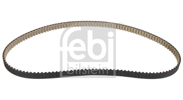 Timing Belt (181594)