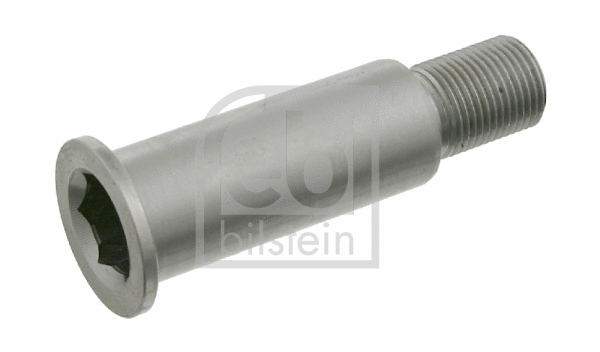 Bearing Journal, tensioner pulley lever (01963)