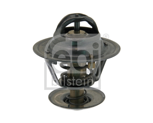 Thermostat, coolant (18981)