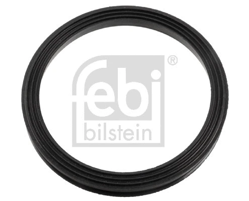 Gasket, timing case cover