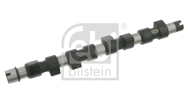 Camshaft (24701)