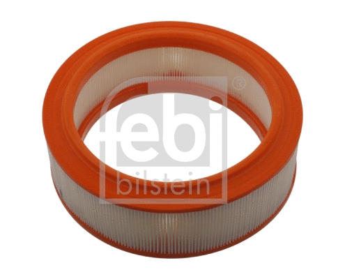 Air Filter (30071)