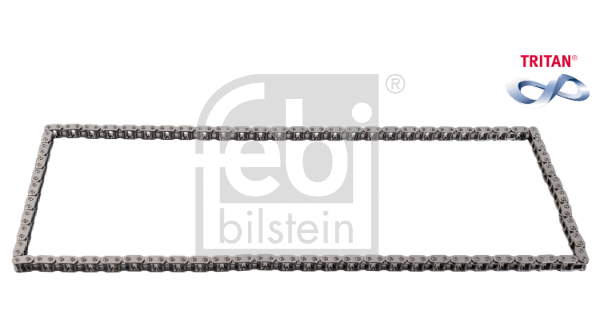 Timing Chain (109253)