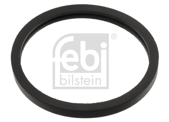 Seal, thermostat (05156)