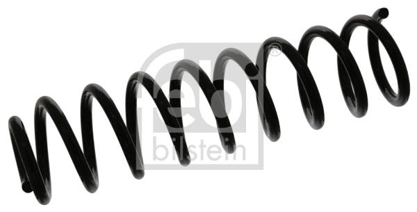 Suspension Spring (46838)