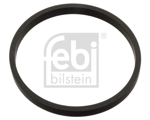 Gasket, throttle body (103795)