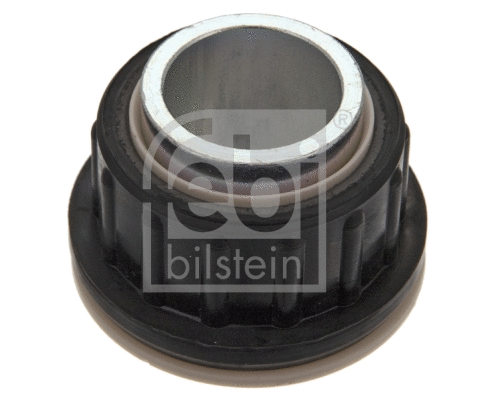 Bushing, axle beam (15079)