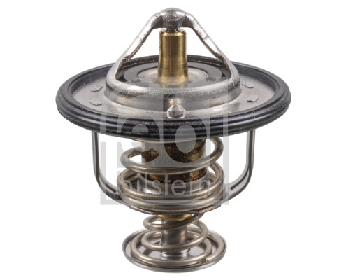 Thermostat, coolant (107698)