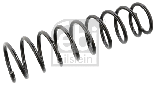 Suspension Spring (104726)