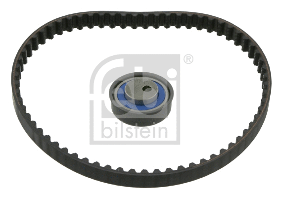 Timing Belt Kit (31528)