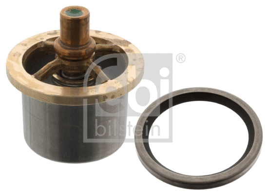 Thermostat, coolant (47774)