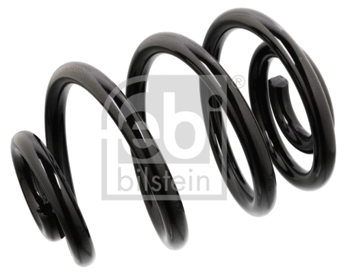 Suspension Spring (104741)