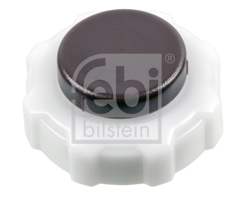 Cap, coolant tank (185504)