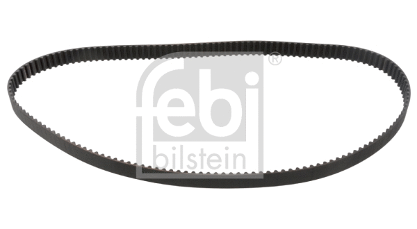 Timing Belt (17763)