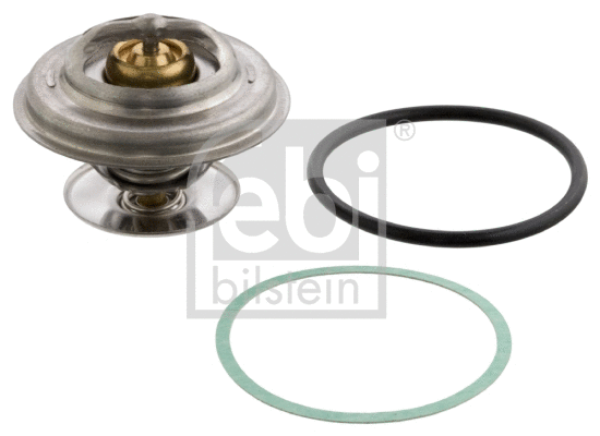 Thermostat, coolant (15849)