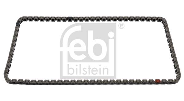 Timing Chain (49717)