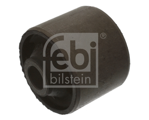 Mounting, control/trailing arm (01860)