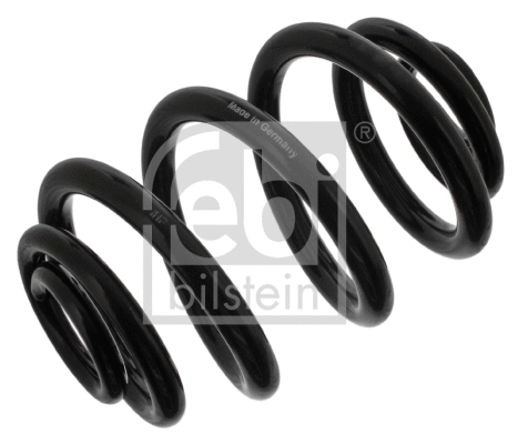 Suspension Spring (38669)