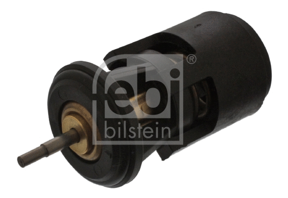Thermostat, coolant (17902)