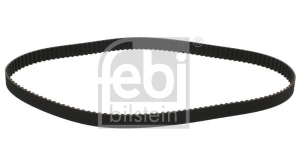 Timing Belt (19534)