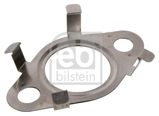 Gasket, EGR valve (170332)