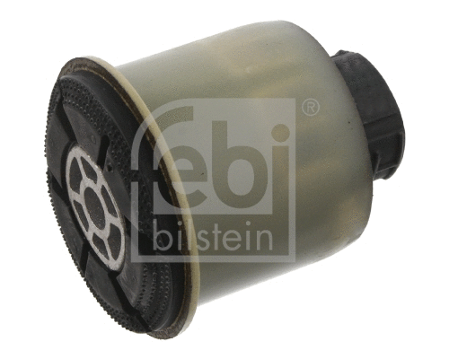 Bushing, axle beam (33122)