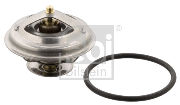Thermostat, coolant (12191)