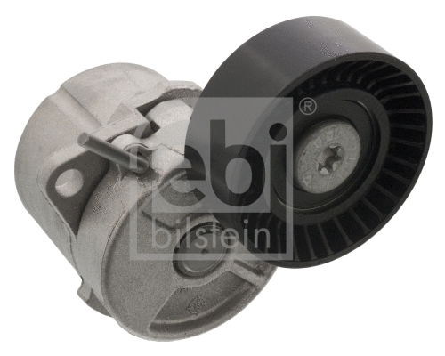 Belt Tensioner, V-ribbed belt (09813)