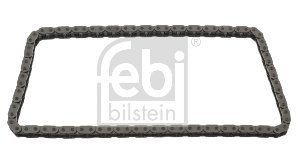 Timing Chain (49486)