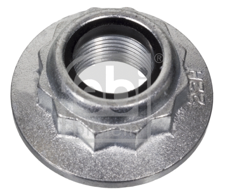 Nut (24230)