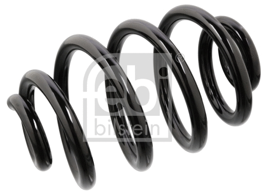 Suspension Spring (104695)