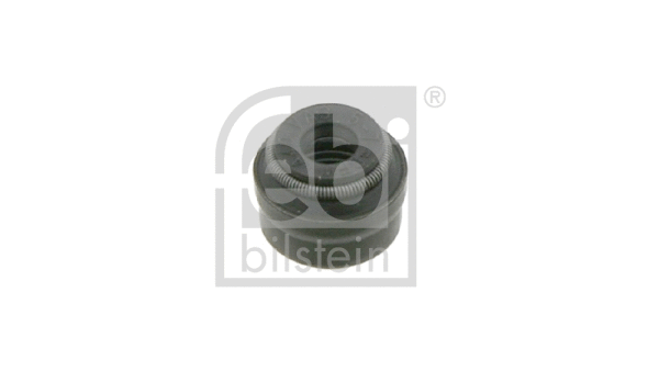 Seal Ring, valve stem (19620)