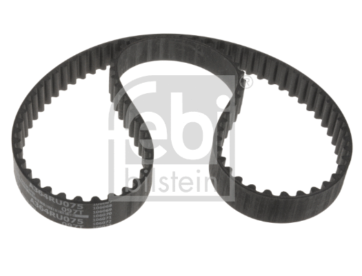 Timing Belt (176616)