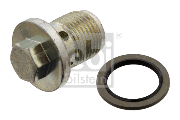 Screw Plug, oil sump (48882)