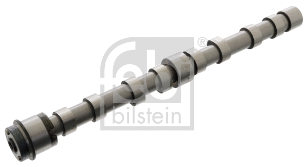 Camshaft (101996)