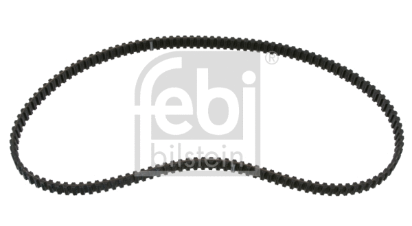 Timing Belt (10975)