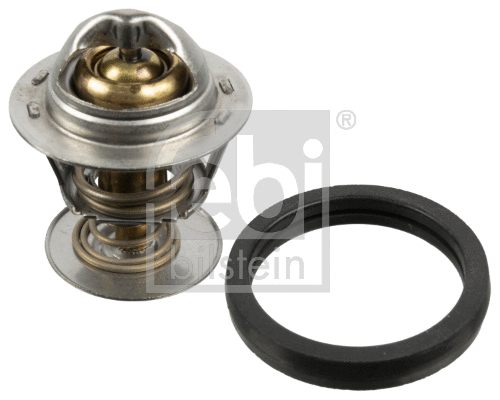 Thermostat, coolant (173096)
