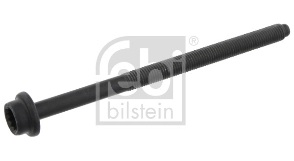 Cylinder Head Bolt (184667)