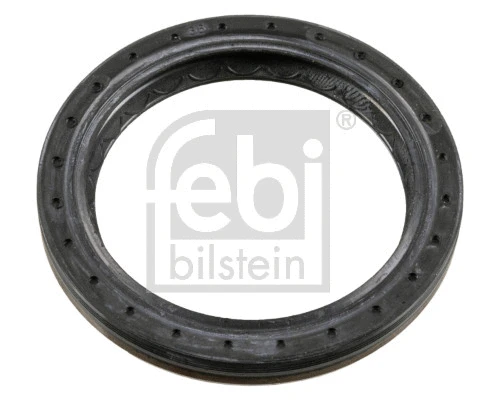 Shaft Seal, differential (180889)