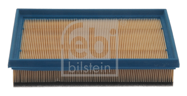 Air Filter (38879)