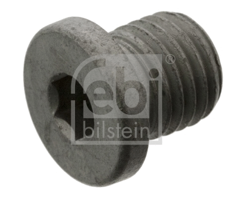 Screw Plug, oil sump (46332)