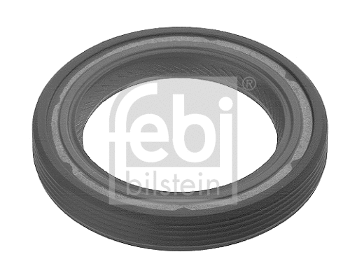Shaft Seal, crankshaft (10541)