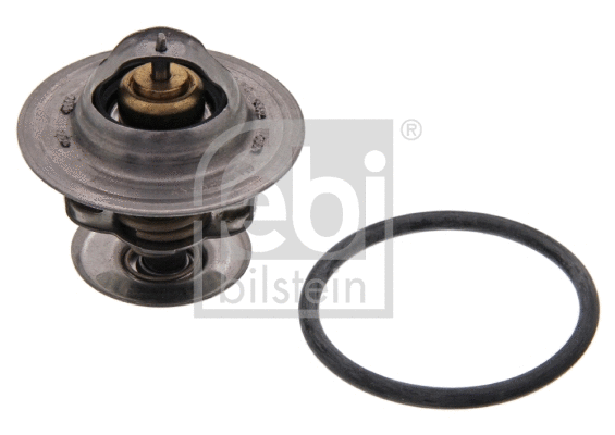Thermostat, coolant (17978)