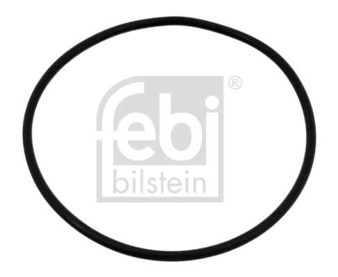 Gasket, water pump (04734)