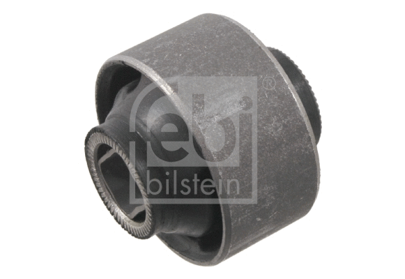 Mounting, control/trailing arm (31106)