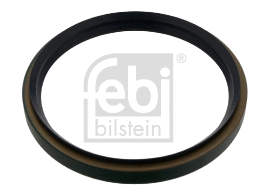Shaft Seal, wheel hub (09900)