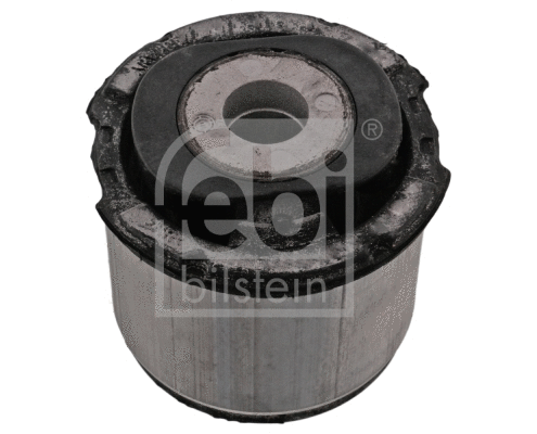 Bushing, axle beam (49376)
