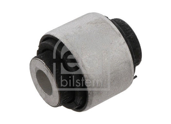 Mounting, control/trailing arm (29689)